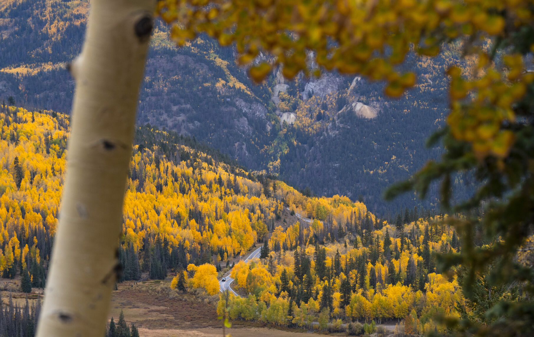 A car drives down 11,530-foot Slumgullion Pass through the changing aspens toward Lake City, Colo., Tuesday, Sept. 28, 2021. (The Gazette, Christian Murdock) (Christian Murdock/The Gazette)