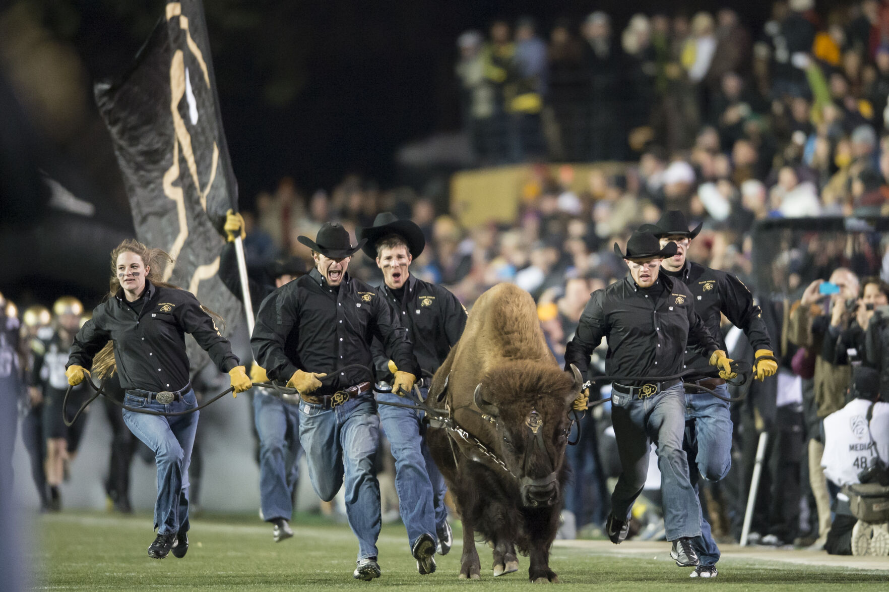 Taylor Stratton, program manager for CU’s Ralphie Live Mascot Program, makes her last run as a handler for Ralphie V in 2013. Photo by Joel G. Broida (Joel G Broida)