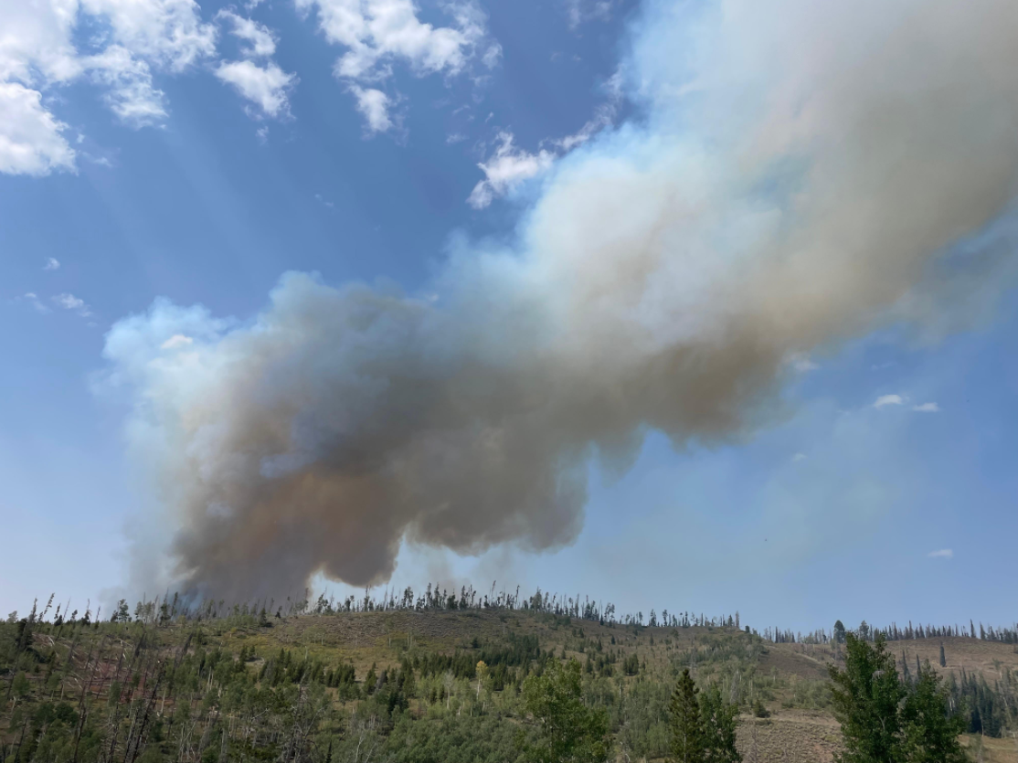 A photo taken during the initial response to the Black Mountain Fire. Photo Source: Inciweb.