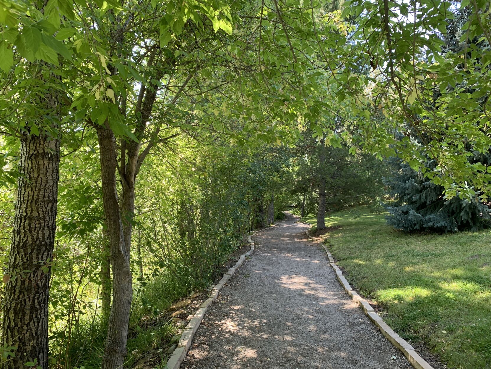 Marianne Goodland, Colorado Politics Cottonwoods line the main entrance to the Yampa River Botanic Park in Steamboat Springs. (MarianneGoodlandmarianne.goodland@coloradopolitics.comhttps://secure.gravatar.com/avatar/125a14b7bd9266f61a445ec13b1d3605?d=mm&r=g)