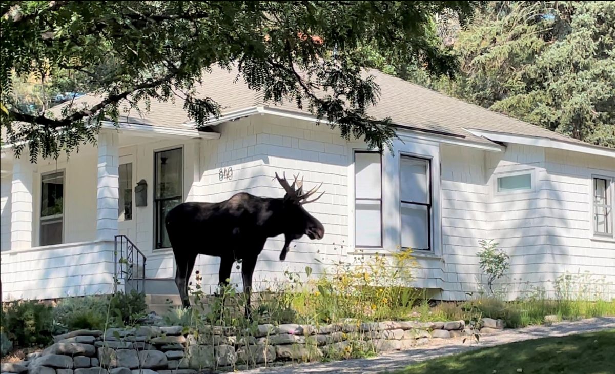 Photo Courtesy of Colorado Parks and Wildlife.