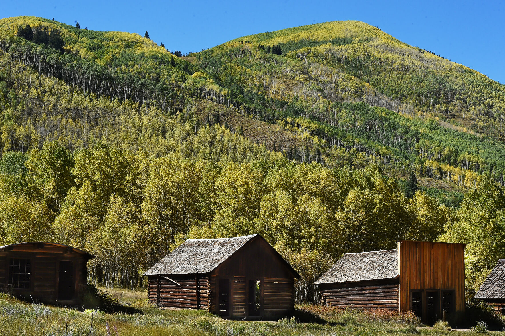 Golden aspens fill the hillside above the ghost town of Ashcroft, Colorado. In 1883, Ashcroft, Colorado was a town with a population of perhaps 2,000 with two newspapers, a school, sawmills, a small smelter, and 20 saloons—bigger than Aspen at the time. Ashcroft is 11 miles south of Aspen on Castle Creek Rd. Sept. 22, 2021. (Photo by Jerilee Bennett, The Gazette) (Jerilee Bennett)