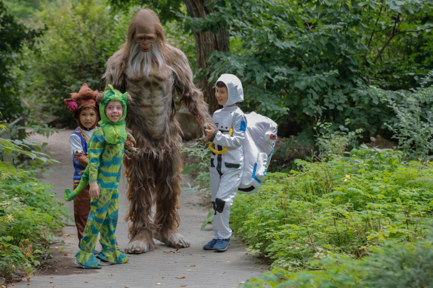 Denver Zoo to replace ‘Boo at the Zoo’ with new ‘Wild Fall’ celebration