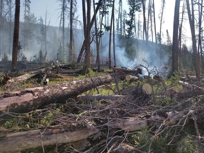Ptarmigan fire