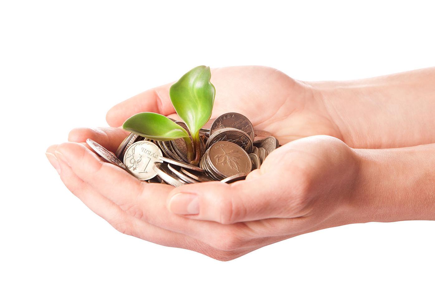 INSIGHTS | Conservative investors are pairing portfolio with principles