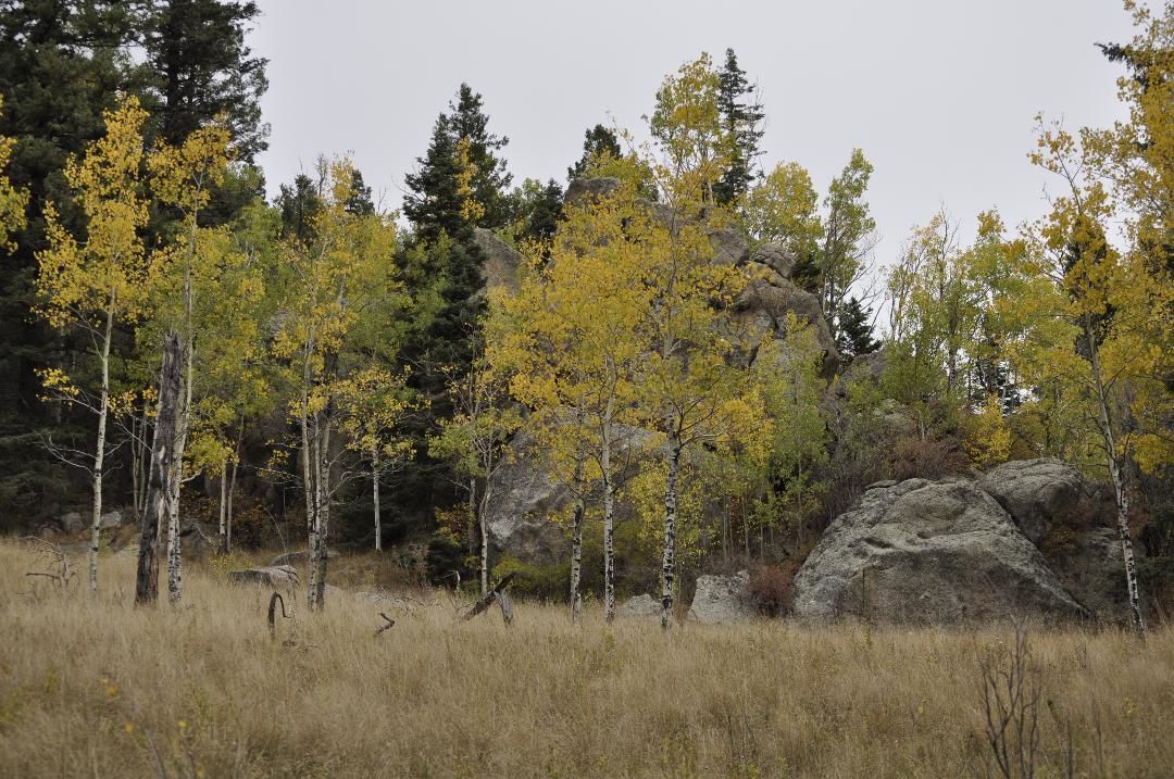 Cheyenne Mountain State Park/. Photo courtesy of Pat Cooper