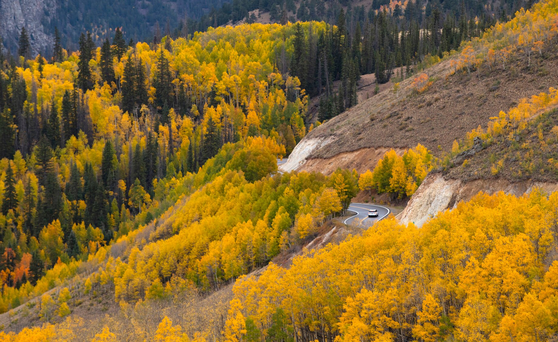 A car drives down 11,530-foot Slumgullion Pass through the changing aspens toward Lake City, Colo., Tuesday, Sept. 28, 2021. (The Gazette, Christian Murdock) (Christian Murdock/The Gazette)