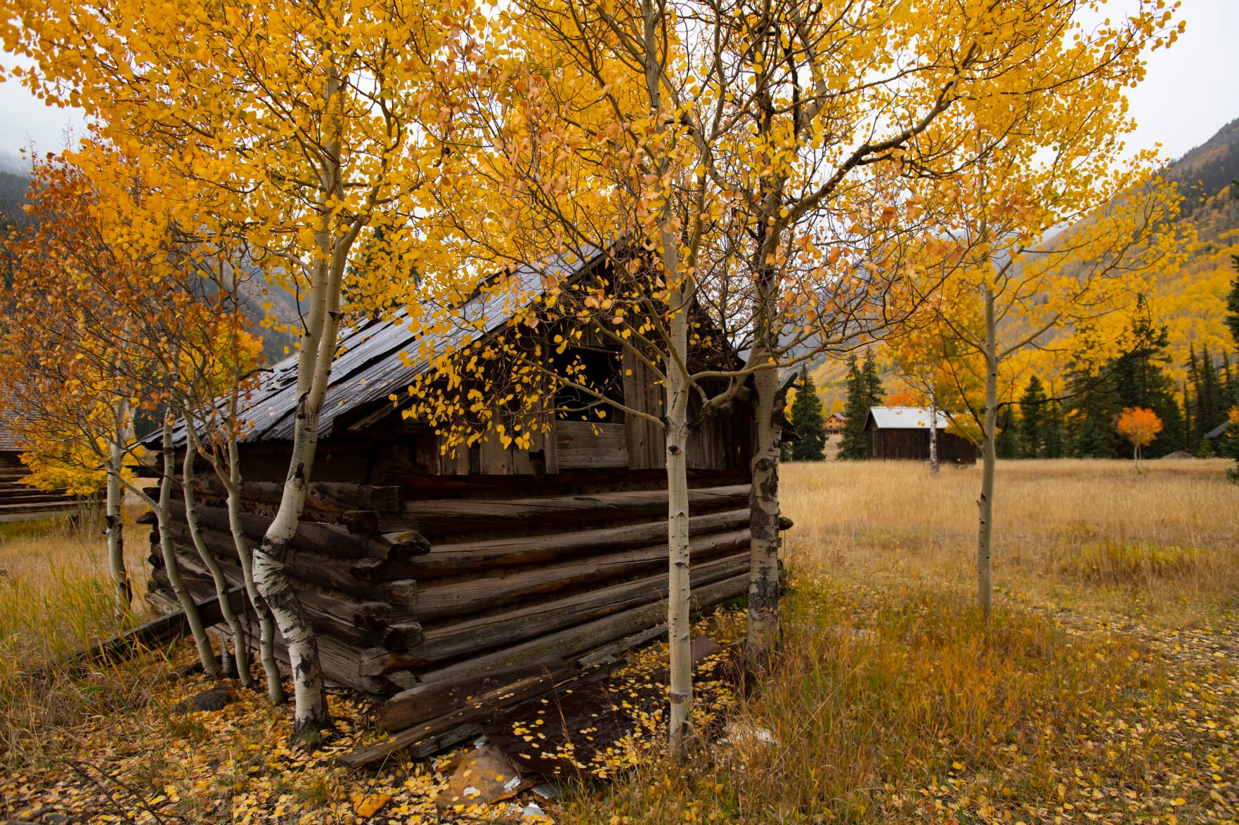 The ghost town of Capitol City is surrounded by the turning aspens on Engineer Pass Tuesday, Sept. 28, 2021. (The Gazette, Christian Murdock) (Christian Murdock/The Gazette)