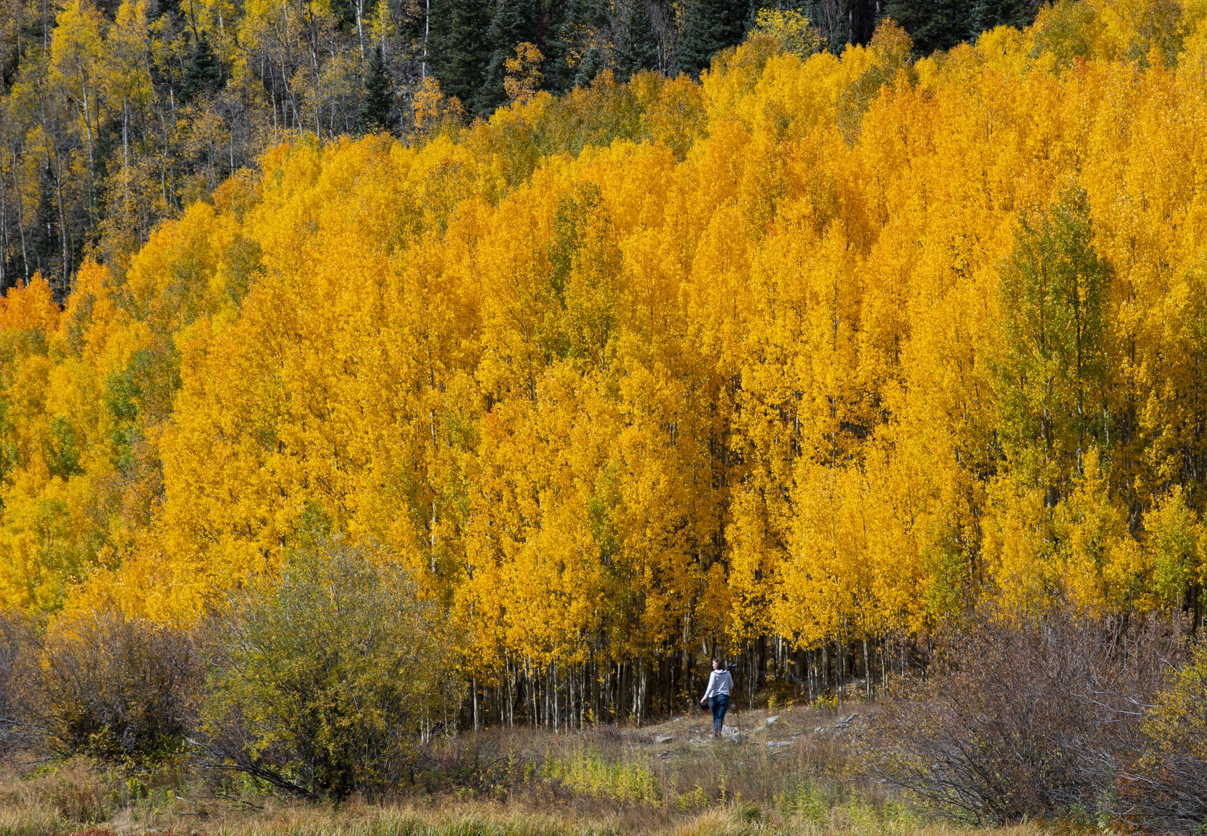 A photographers sets to capture the turning aspens 11,018-foot Red Mountain Pass between Ouray and Silverton, Colo., Wednesday, Sept. 29, 2021. (The Gazette, Christian Murdock) (Christian Murdock/The Gazette)
