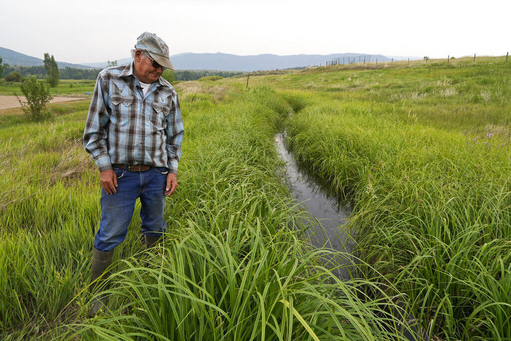 the associated press file Jim Stanko checks the water level of an irrigation ditch in July on his ranch near Steamboat Springs. Stanko said that because of drought conditions this year, he may not be able to harvest enough hay to feed his cattle and will have to sell off some of his herd. (JoeyBunchjoey.bunch@coloradopolitics.comhttps://secure.gravatar.com/avatar/66505e98f9e3fed10e6a3b9a1fc4ca22?d=mm&r=g)