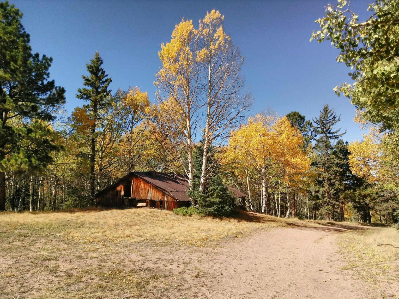 The Cheesman Ranch loop tours the homesteading history at what is now Mueller State Park. (Seth Boster)