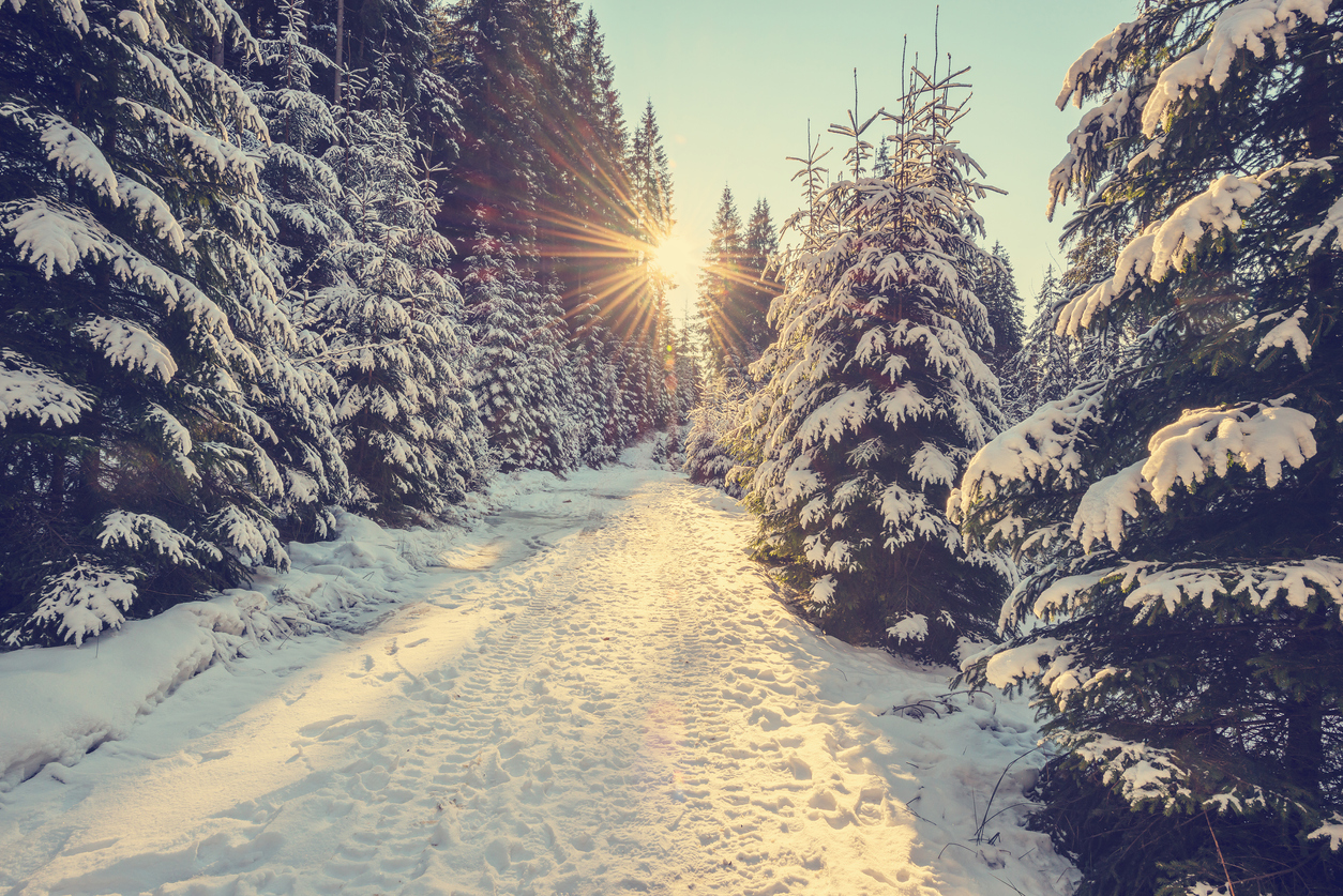Photo Credit: Tuutikka (iStock). (Tuutikka)