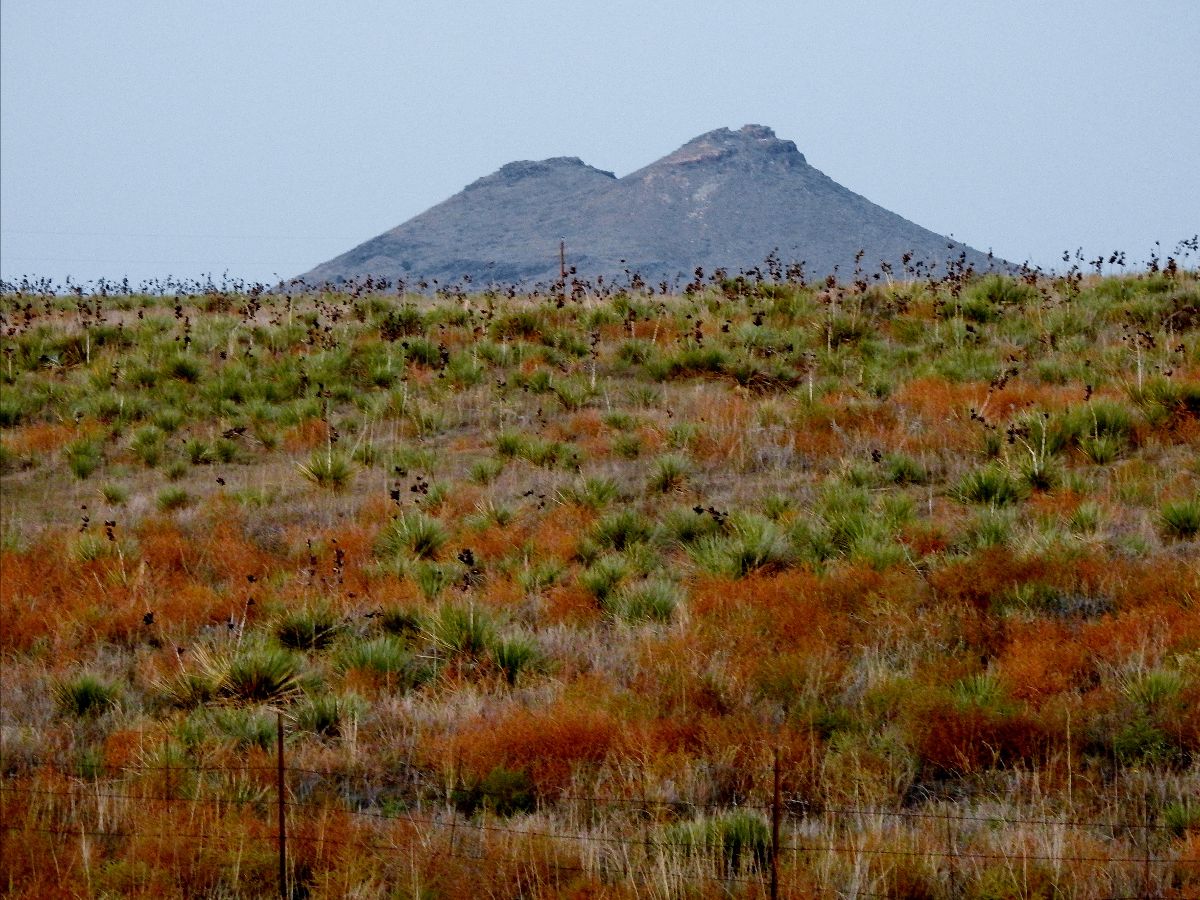 Body found in pond after multi-ay search at Two Butte Reservoir State Wildlife Area
