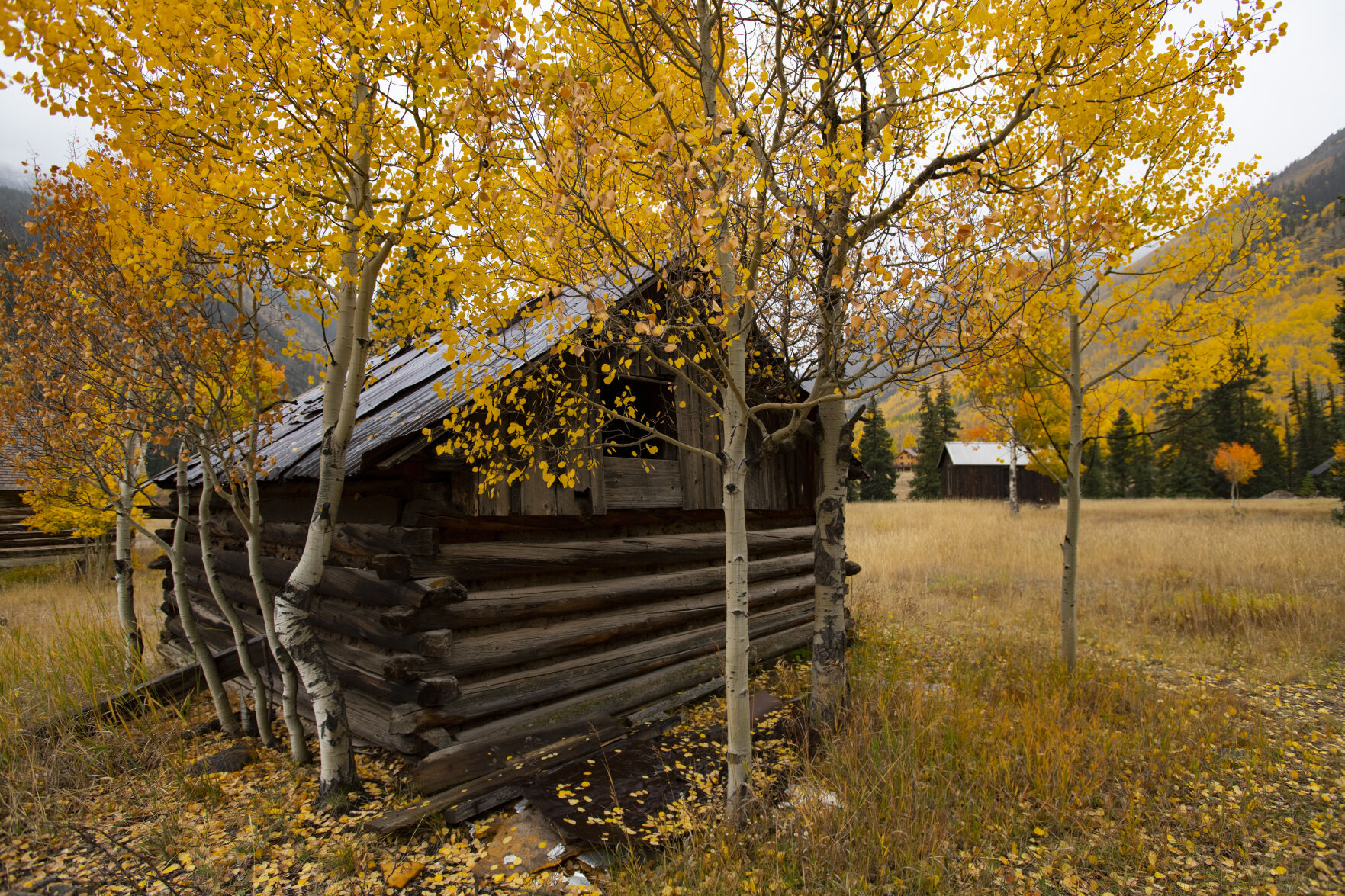The ghost town of Capitol City is surrounded by the turning aspens on Engineer Pass Tuesday, Sept. 28, 2021. (The Gazette, Christian Murdock) (Christian Murdock/The Gazette)