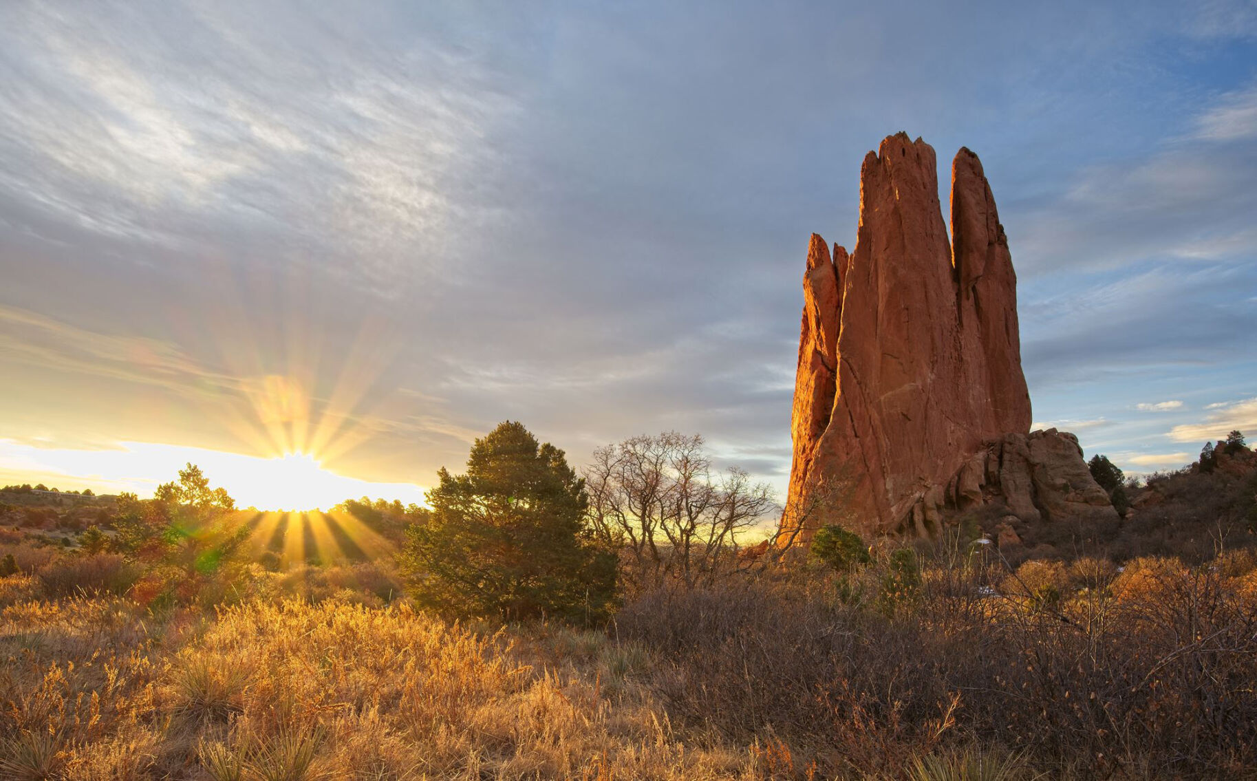 “Golden Sunrise” (Gavin Walters)