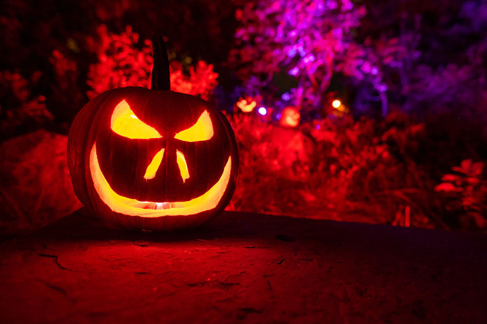 Denver's Botanic Gardens is kicking off spooky season with the return of their annual