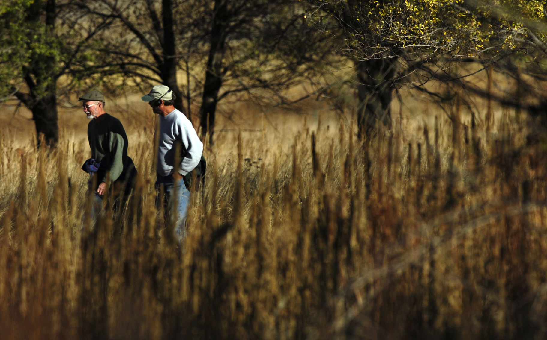 Trail Talk: 50 years of county parks cause for celebration and concern