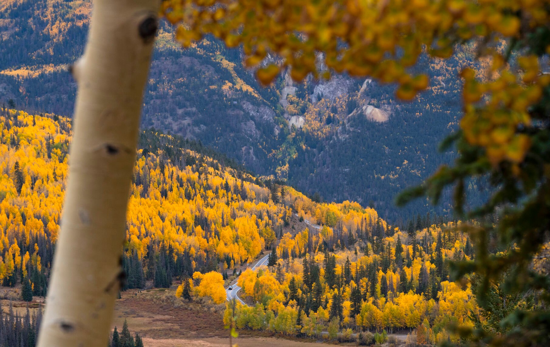 A car drives down 11,530-foot Slumgullion Pass through the changing aspens toward Lake City, Colo., Tuesday, Sept. 28, 2021. (The Gazette, Christian Murdock) (Christian Murdock/The Gazette)