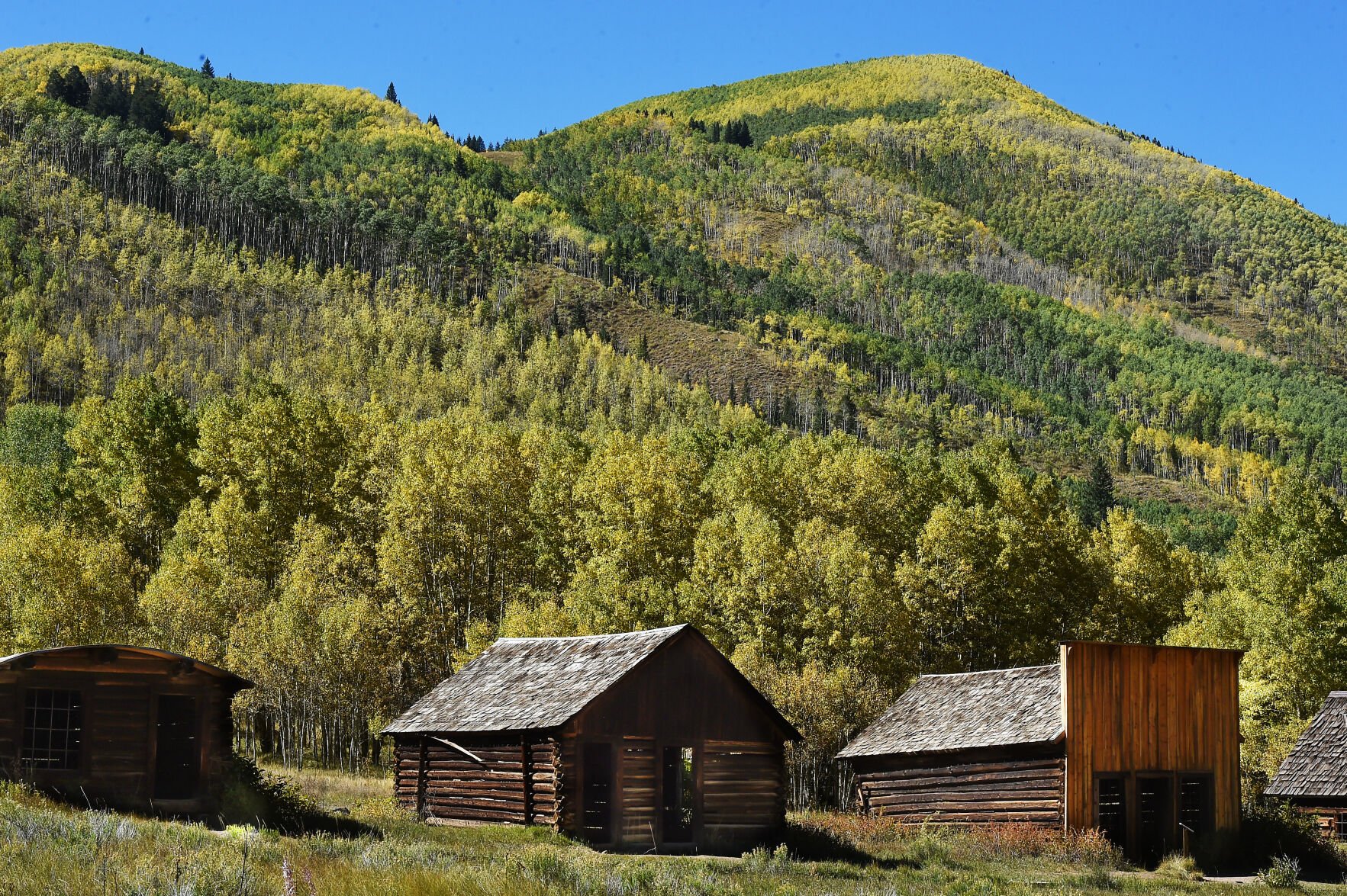 Golden aspens fill the hillside above the ghost town of Ashcroft, Colorado. In 1883, Ashcroft, Colorado was a town with a population of perhaps 2,000 with two newspapers, a school, sawmills, a small smelter, and 20 saloons—bigger than Aspen at the time. Ashcroft is 11 miles south of Aspen on Castle Creek Rd. Sept. 22, 2021. (Photo by Jerilee Bennett, The Gazette) (Jerilee Bennett)