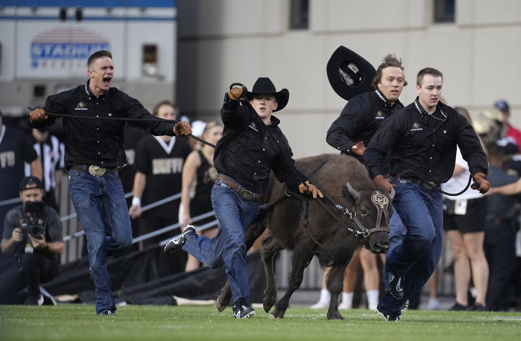 Handlers guide Colorado mascot Ralphie VI on ceremonial run in the first half of an NCAA college football game Friday, Sept. 3, 2021, in Boulder, Colo. (AP Photo/David Zalubowski) (David Zalubowski)