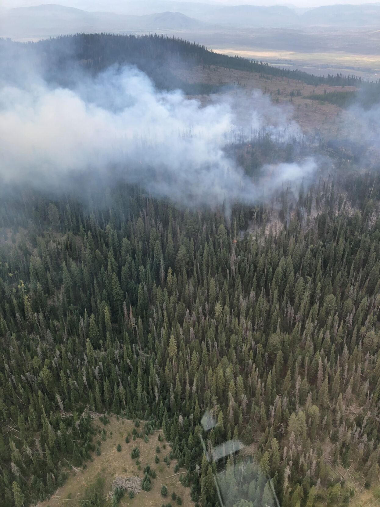 Black Mountain fire caused by lightning strike, now 21% contained