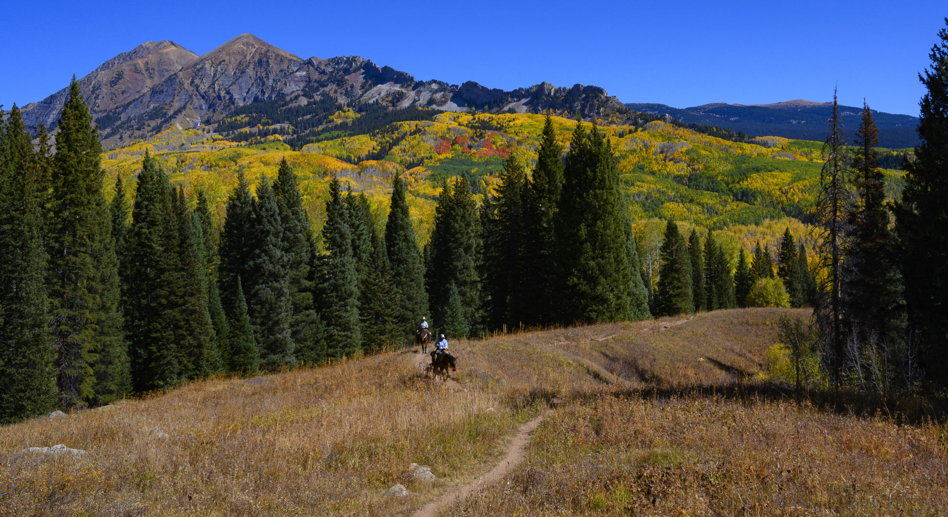 FILE - The aspens on Kebler Pass near Crested Butte show a full palette of colors as horseback riders ride Cliff Creek Trail.