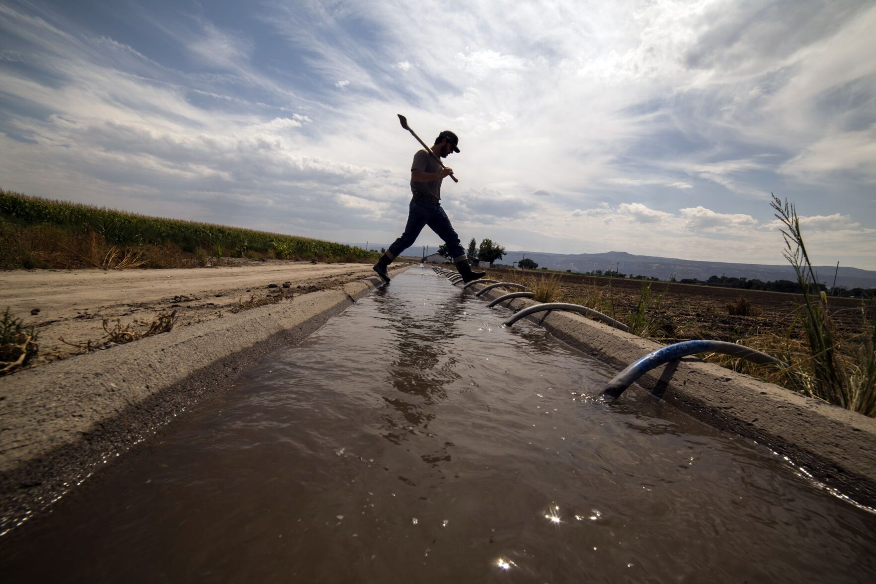 Rancher Bryan Bernal irrigates a field that depends on Colorado River water near Loma. (William Woody, Fresh Water News)