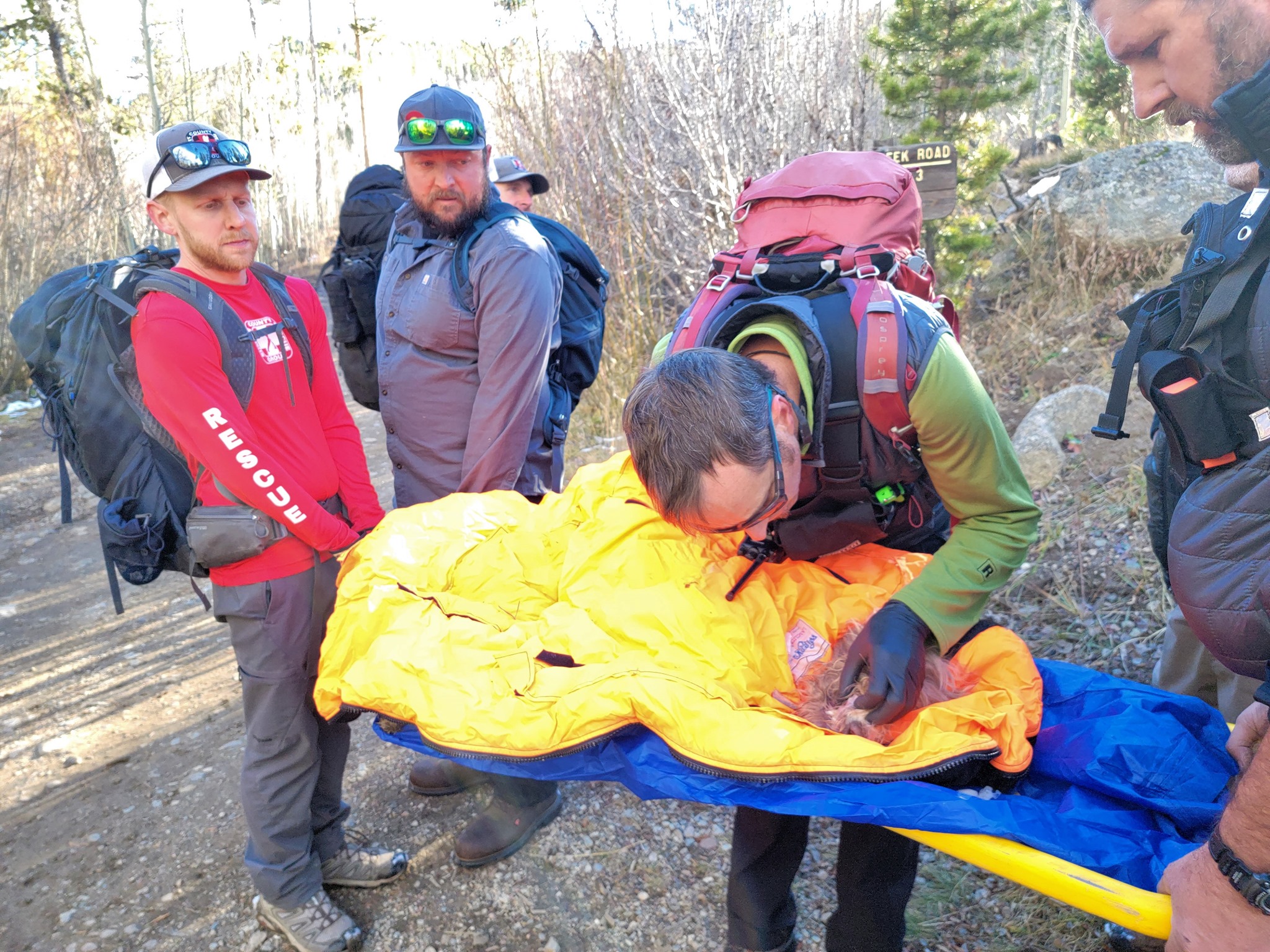 Dog dies near Frisco after moose attack, prompting warning