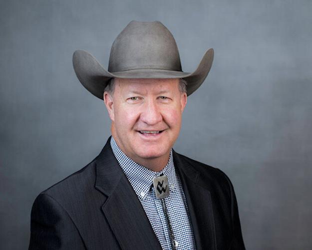 Paul Andrews