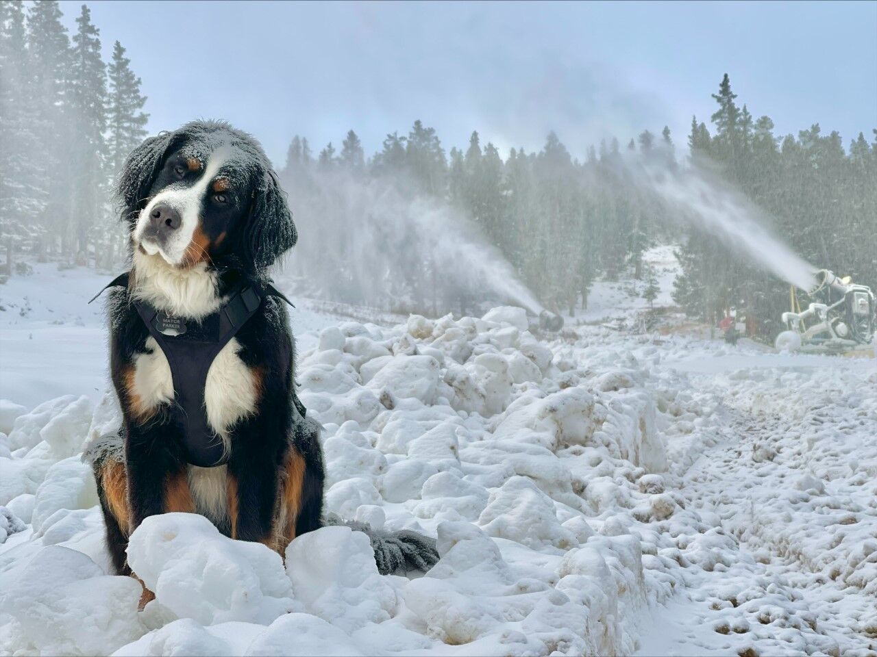 Loveland, Keystone resorts begin snowmaking for 2021-22 ski and snowboard season