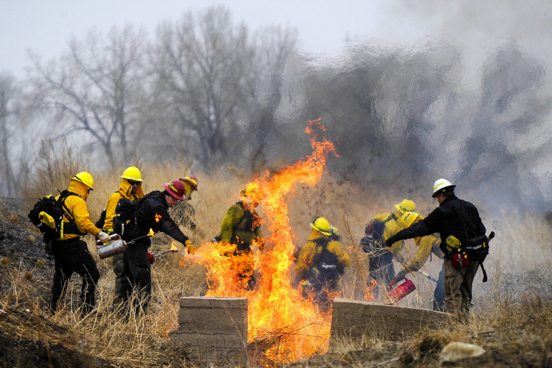 Colorado Springs voters to decide on wildfire fund | Elections 2021