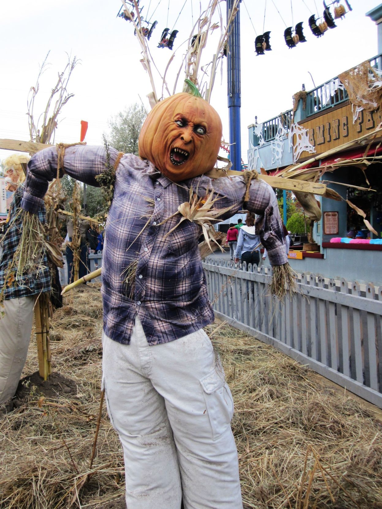 Photos courtesy Elitch Gardens