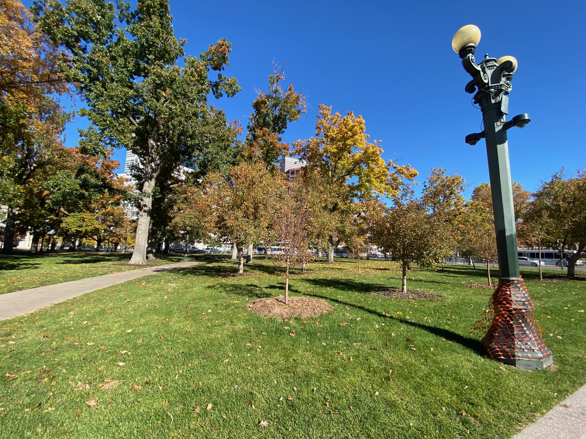 Civic Center Park will get brighter globes to light the park at night. (Carol McKinley)
