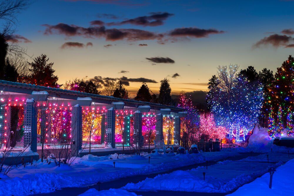 Things to do this weekend in Denver and beyond: Downtown ice skating, zoo lights and more