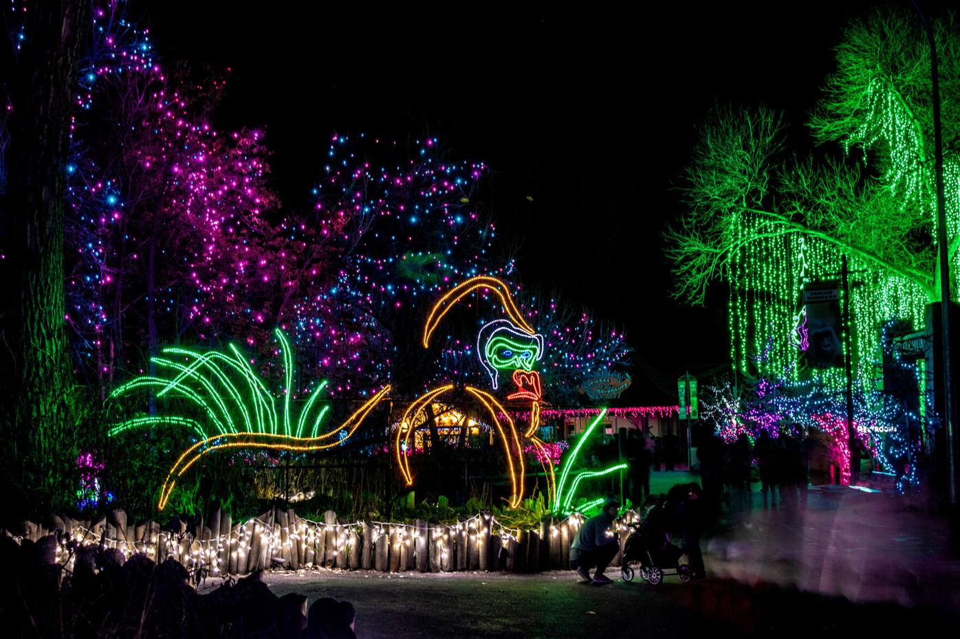 Denver’s ‘Zoo Lights’ tickets now on sale