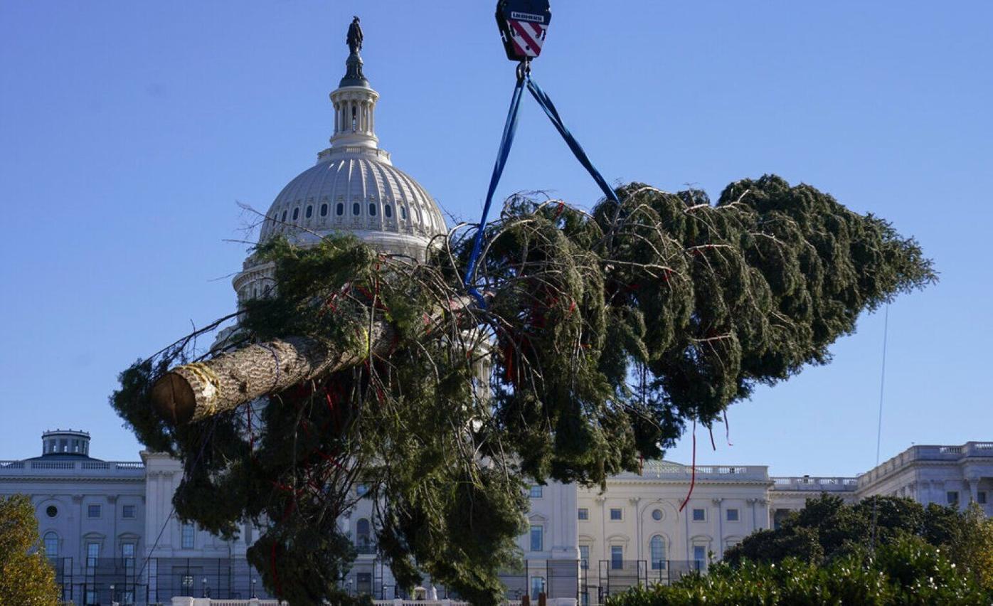 Congressional Democrats face daunting December to-do list