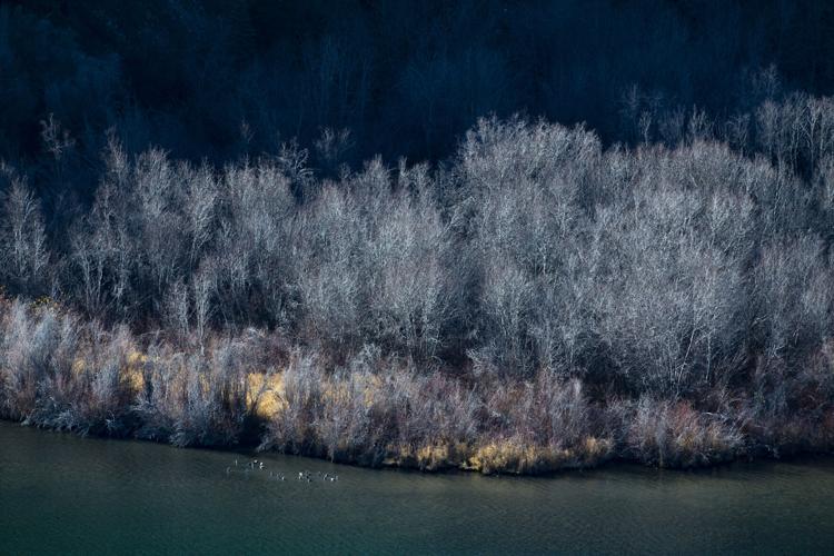 110821-ot-sweetwater 6.jpg