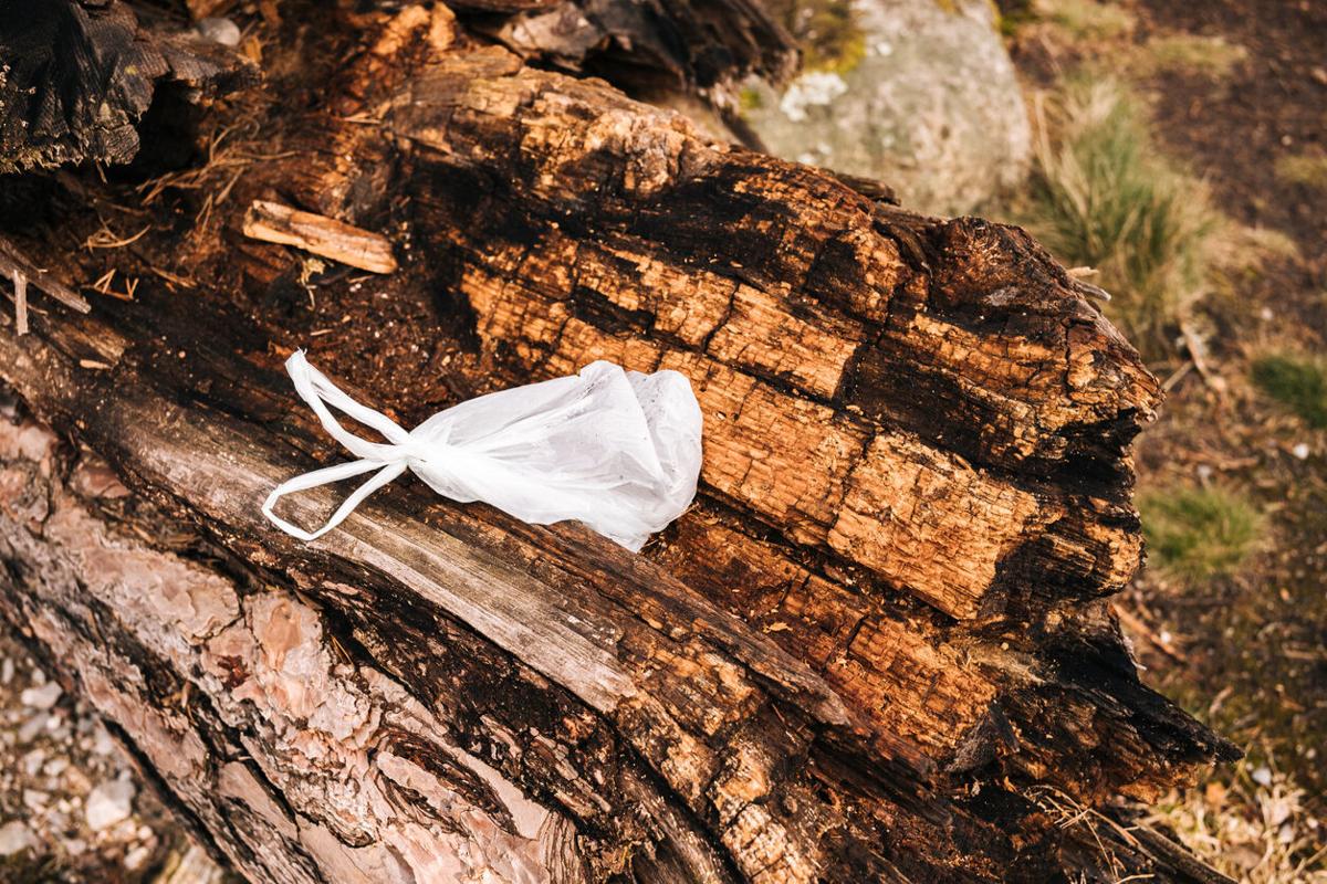 Dog bag on a rotting tree trunk Photo Credit: lucentius (iStock).