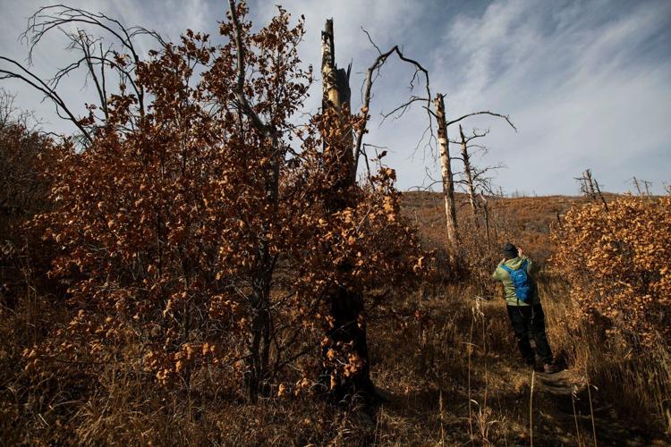 112921-ot-sugarite-dg 06