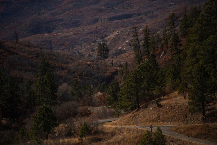 112921-ot-sugarite-dg 10