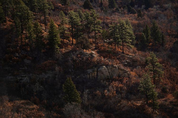 112921-ot-sugarite-dg 15