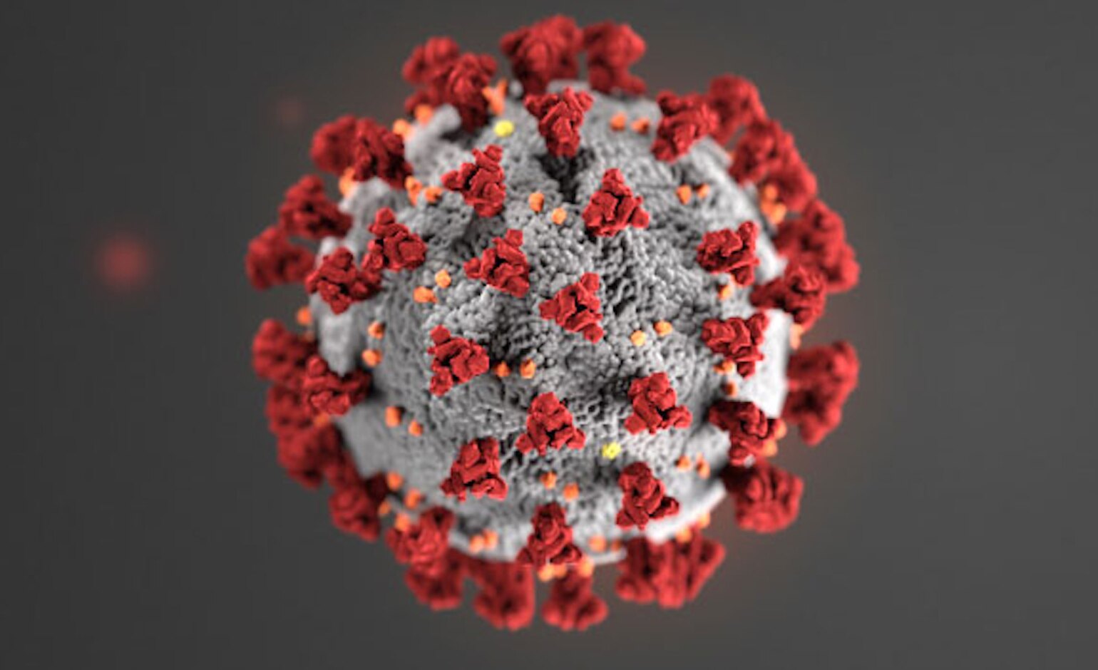 WHO says risk from omicron variant 'very high' but uncertain until more data comes