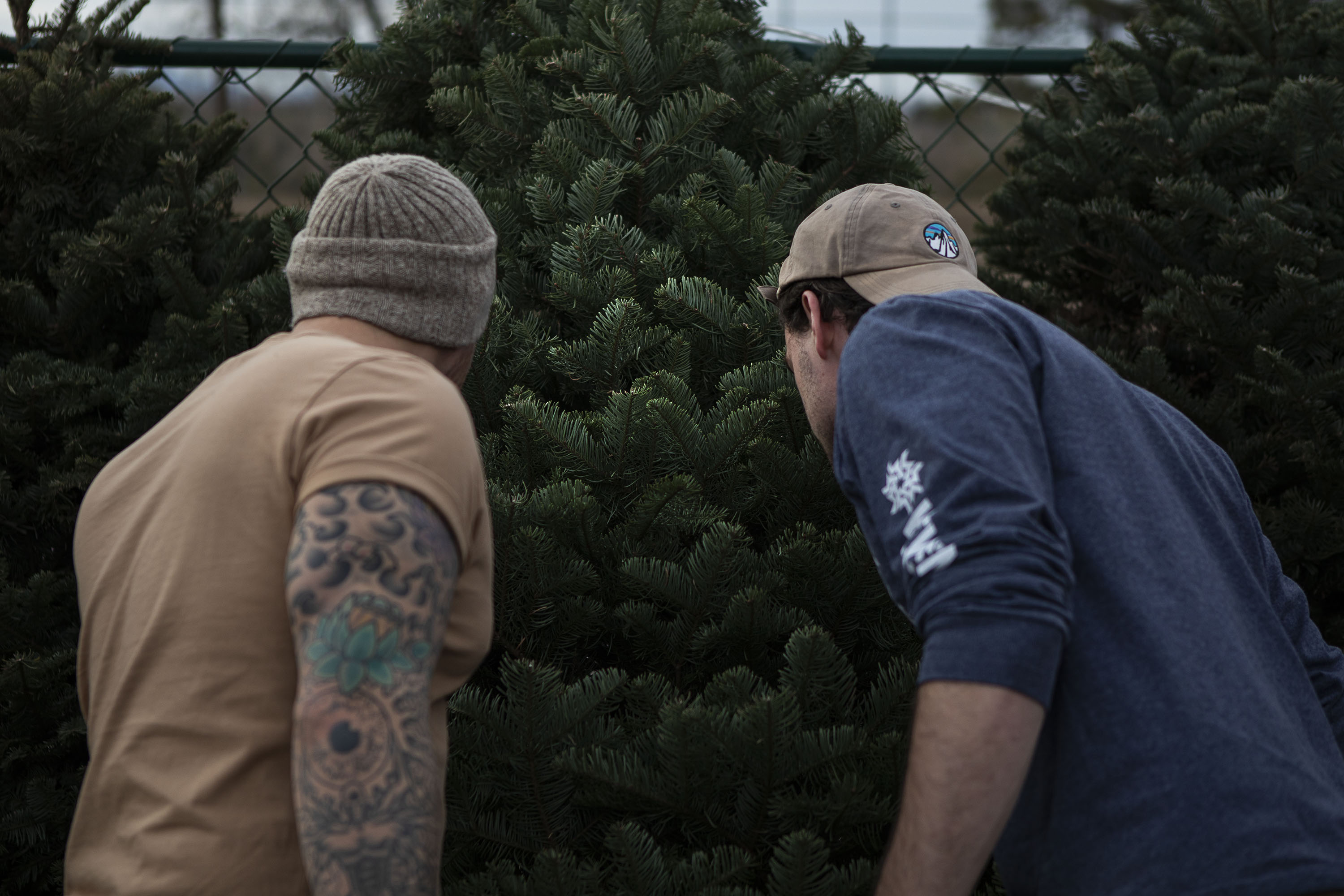Thomas Weaver, right, and Julian Wallace give a tree the sniff test while looking for the right tree on Tuesday, Nov. 30, 2021, at Nice Christmas Trees in Denver. (DennisHuspeniCity Editordennis.huspeni@gazette.comhttps://denvergazette.com/content/tncms/avatars/c/5a/fbd/c5afbd32-5030-11eb-bdef-030d9de52a9e.779683cee495ffe64766291c251a8894.png)