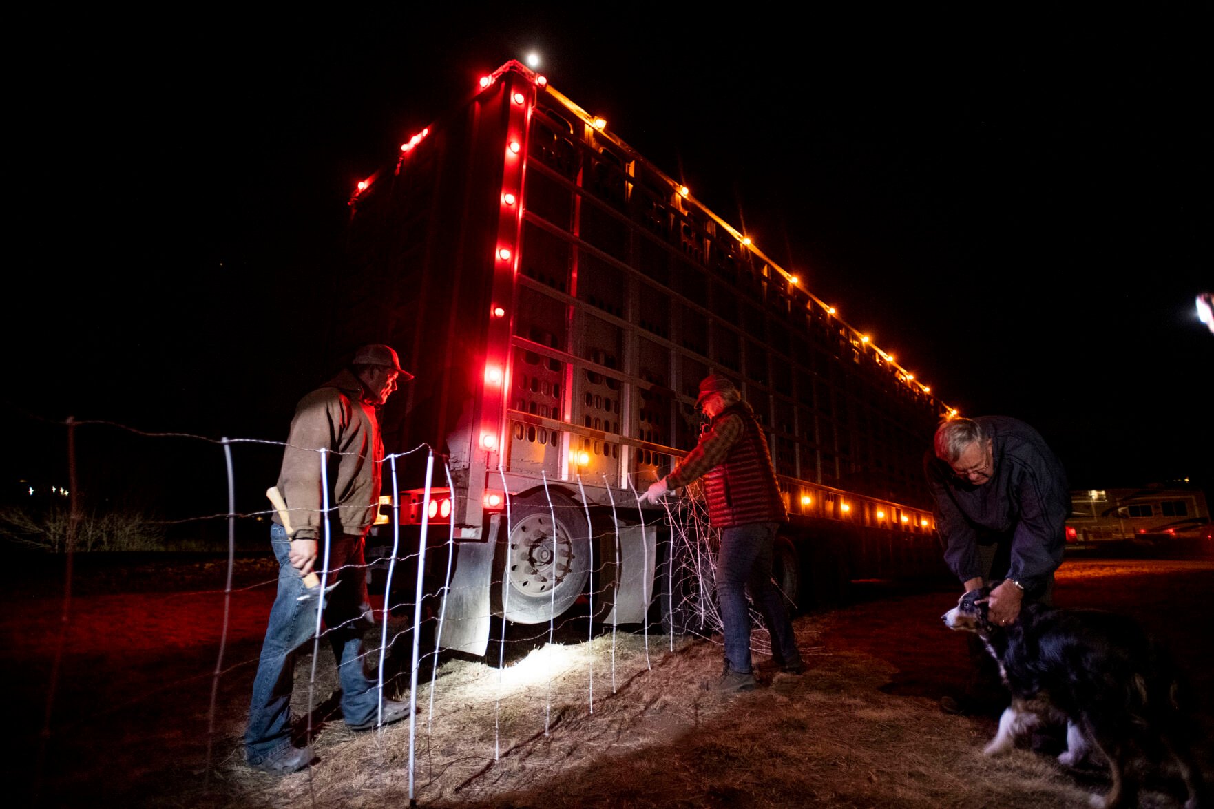 Lani Malmberg, center, herder of Goat Green LLC, works on putting up temporary fencing for her Cashmere goat herd upon their arrival at Bear Creek Regional Park in Colorado Springs on Tuesday, Dec. 14, 2021. Nearly 600 goats have come to feed on the weeds this year, providing a natural and more effective alternative to chemical herbicides. (Chancey Bush/ The Gazette) (Chancey Bush/ The Gazette)