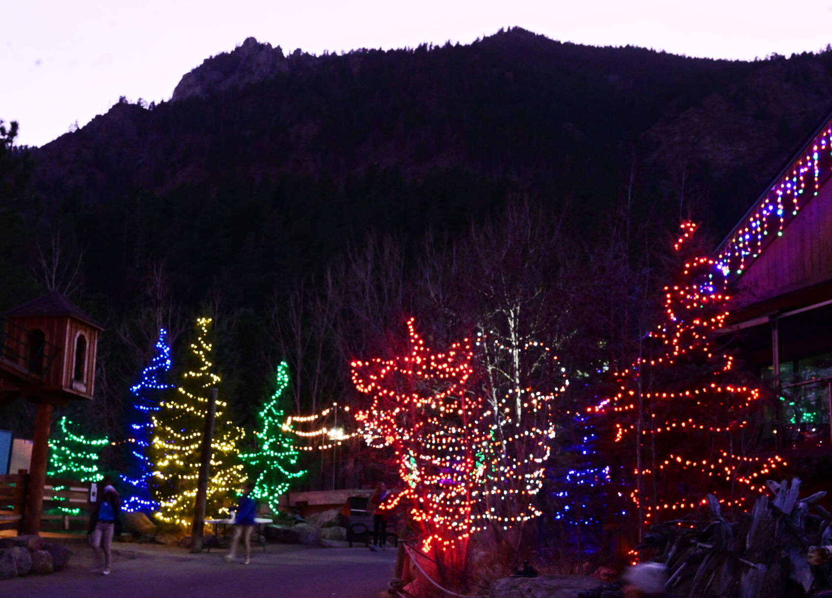 There are thousands of Christmas lights at Electric Safari at the Cheyenne Mountain Zoo on Sunday, Dec. 5, 2021. (Photo by Jerilee Bennett, The Gazette) (Jerilee Bennett)