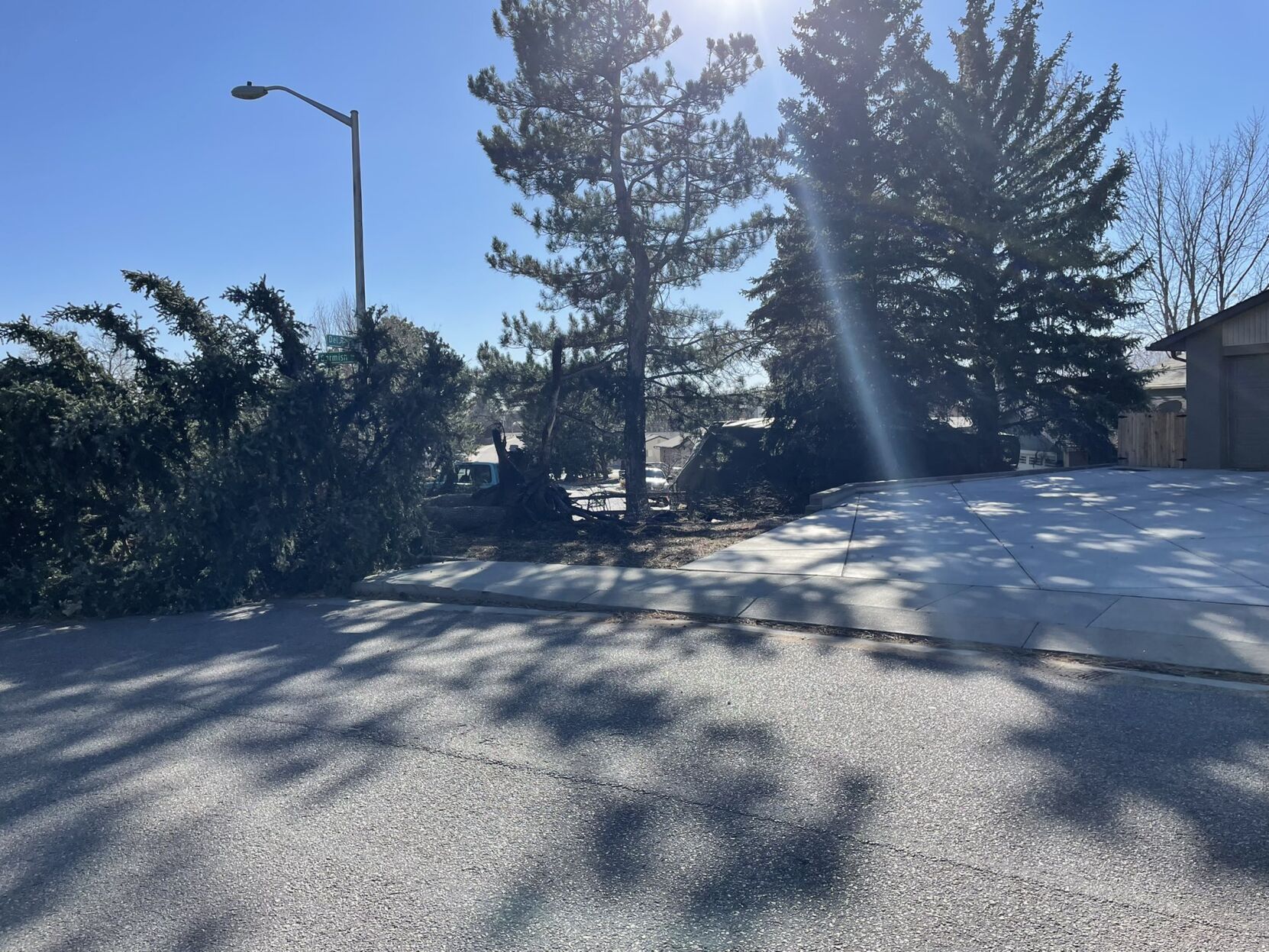 Trees were toppled in north Colorado Springs on Wednesday, Dec. 15, 2021. (Courtesy Lisa Wiley)