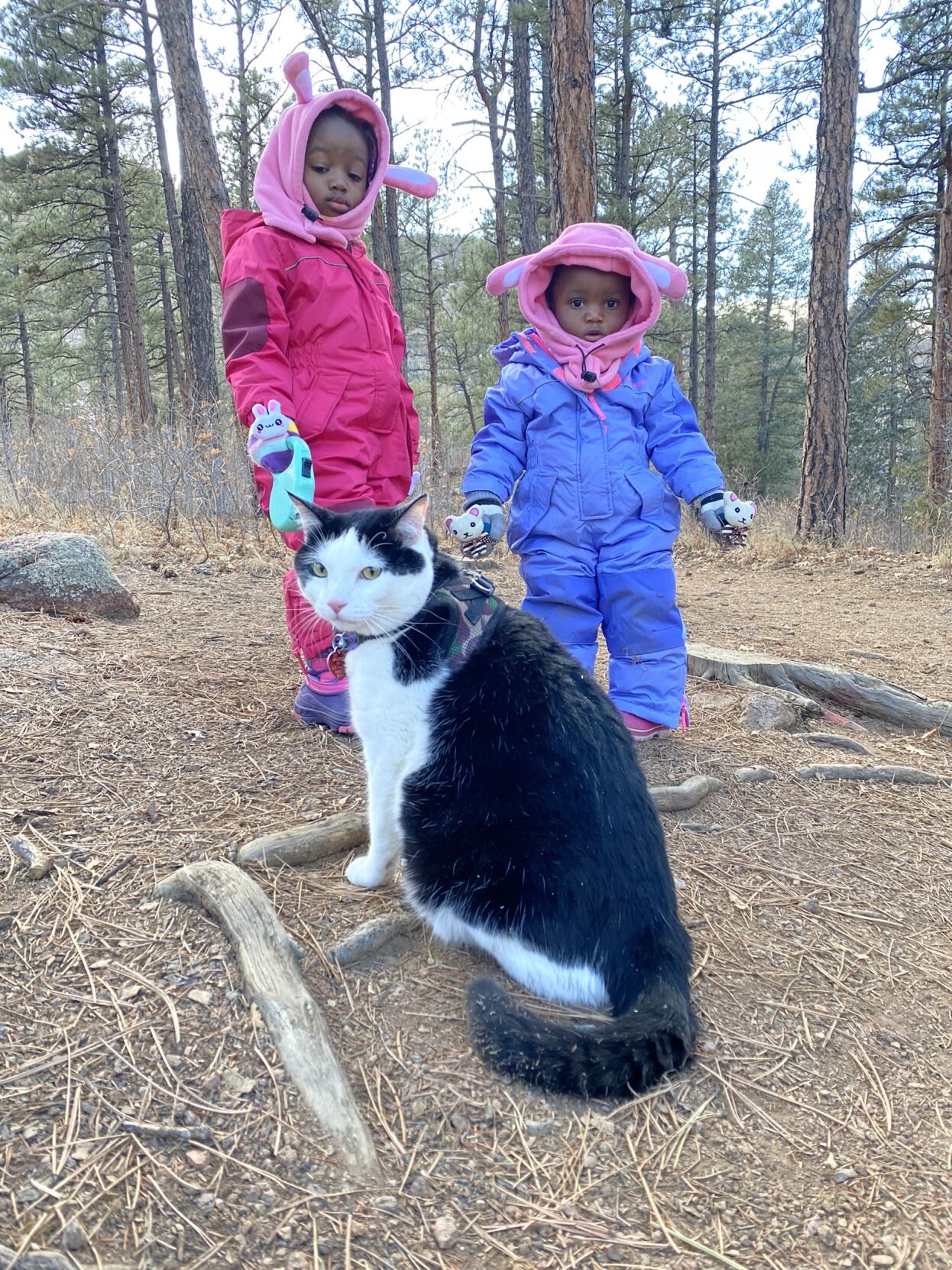 A Colorado Springs family of explorers includes their adventure cat, Pluto