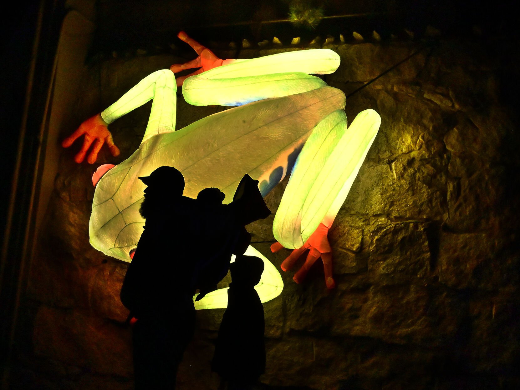 A family walks past a giant inflatable frog attached to a wall at the Cheyenne Mountain Zoo on Sunday, Dec. 5, 2021. The realistic looking animal inflatables are a new addition to the annual event. There are also about 85 unique light sculptures. Electric Safari will continue Dec.10-23, and Dec. 25-January 1 from 5:20 p.m. to 8:30 p.m. (Photo by Jerilee Bennett, The Gazette) (Jerilee Bennett)