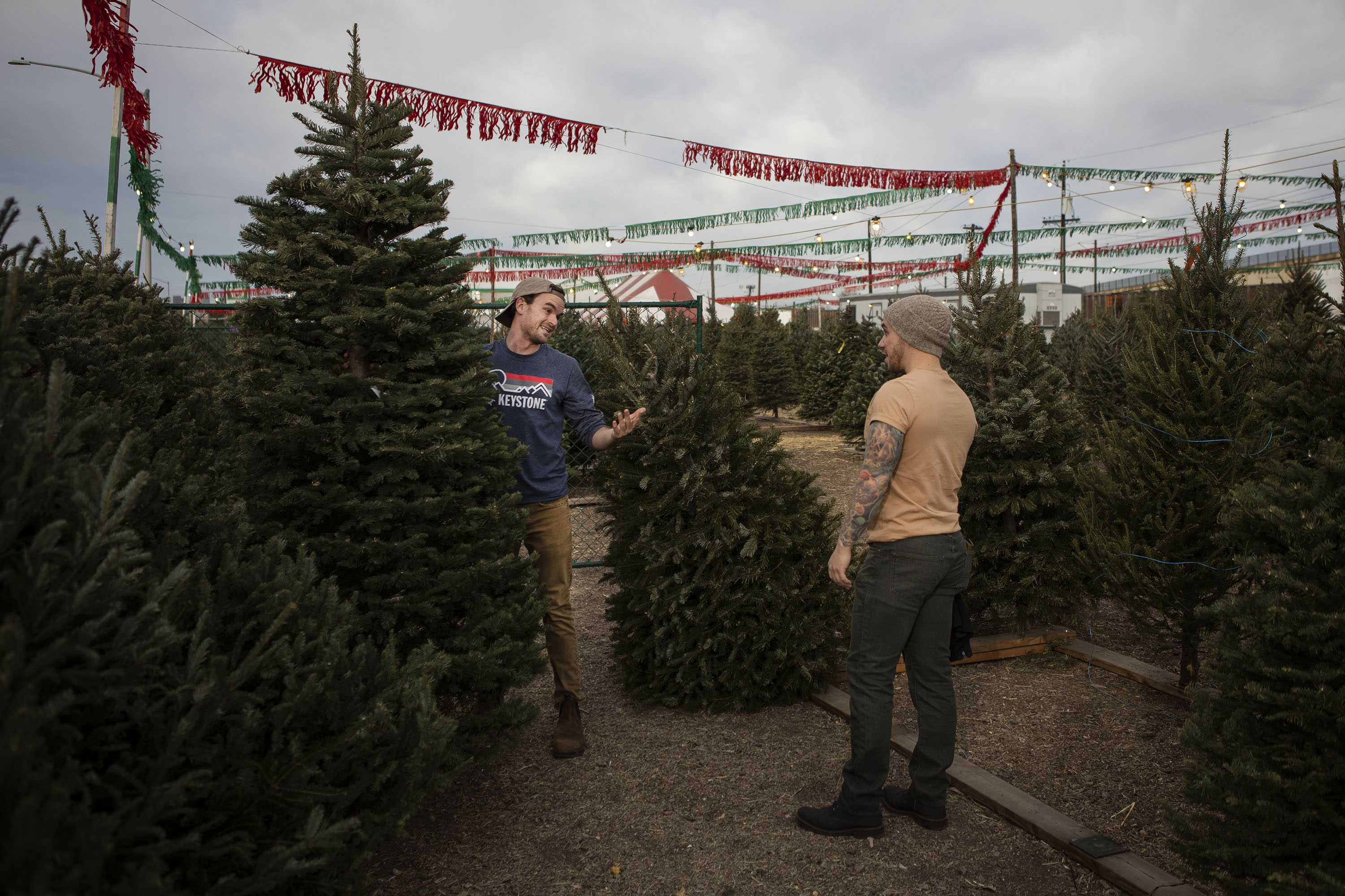 Thomas Weaver, left, and Julian Wallace look through the trees for sale on Tuesday, Nov. 30, 2021, at Nice Christmas Trees in Denver. (TimHursttim.hurst@gazette.comhttps://secure.gravatar.com/avatar/aca82bd62b4ee425c598527cd6faa1b1?d=mm&r=g)