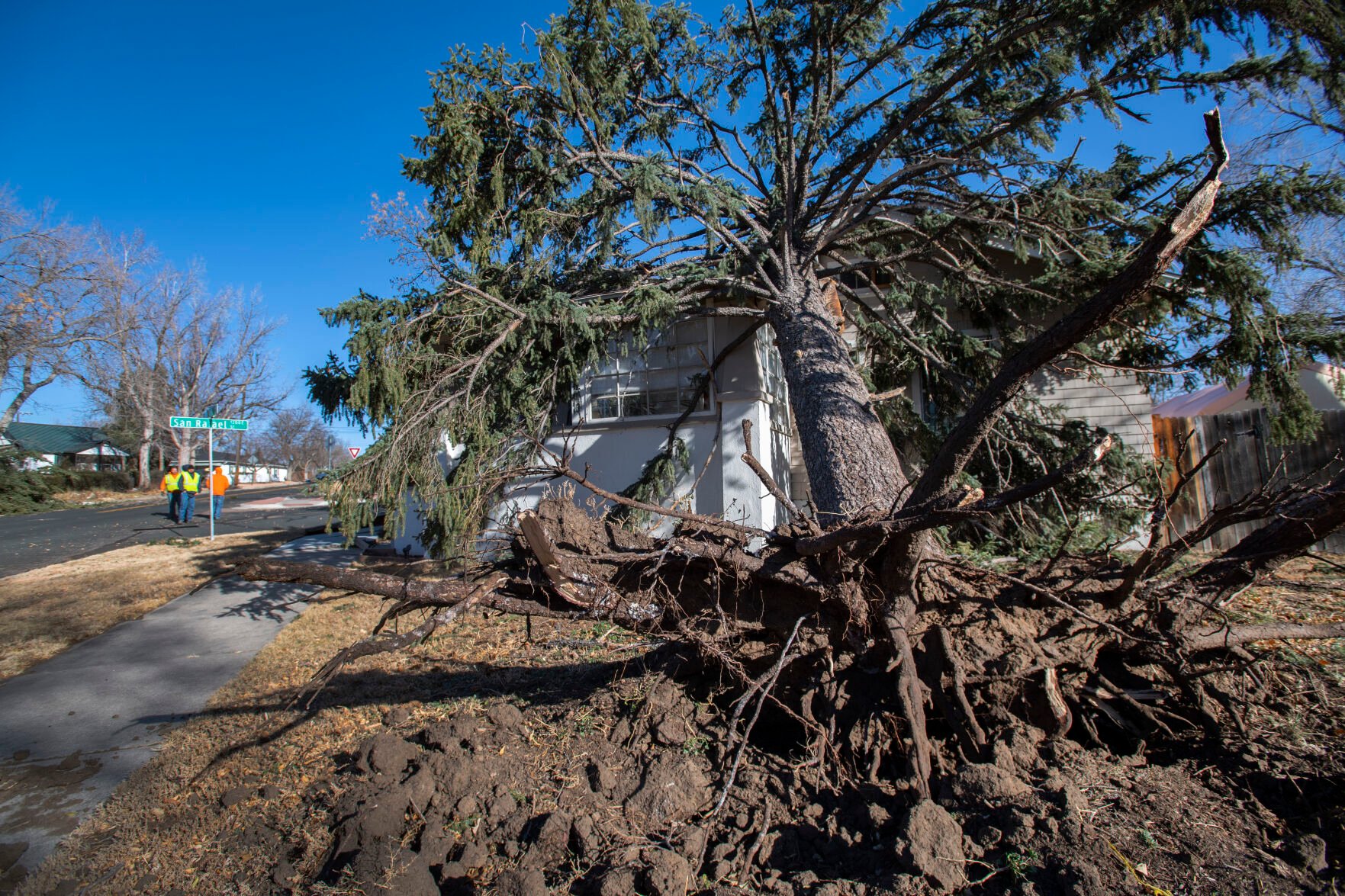 A large evergreen tree lies on a house near Palmer Park Blvd. and N. Hancock Avenue Wednesday, Dec. 15, 2021, after a wind storm with gusts more than 100 mph it the Pikes Peak Region. The house was hit by two other large trees on the other side. (The Gazette, Christian Murdock) (Christian Murdock/The Gazette)